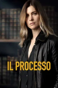 Il processo