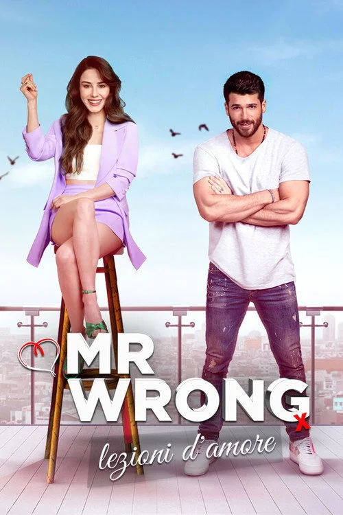 Mr. Wrong - Lezioni d'amore