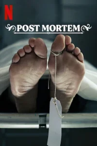 Post Mortem - Nessuno muore a Skarnes