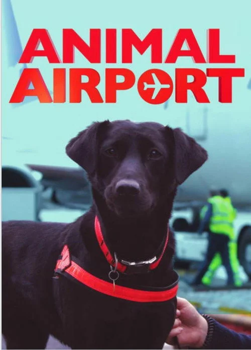 Airport security: animali